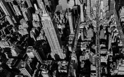 Real Estate Developers and Agents